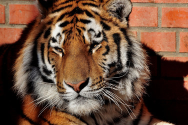 Similar image 21490190