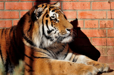 Similar image 21490191