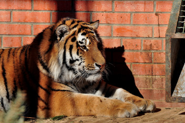 Similar image 21490192