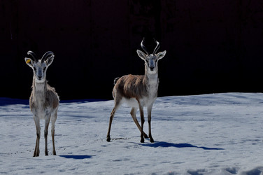 Similar image 21490193