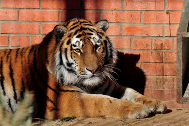 Similar image 21490194