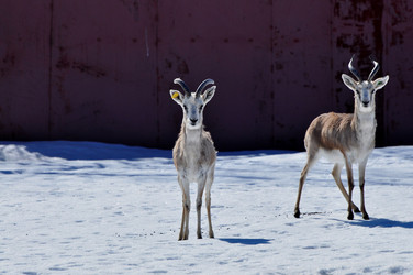 Similar image 21490195