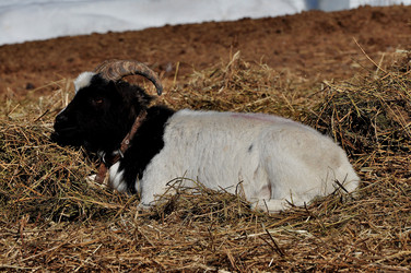 Similar image 21491651