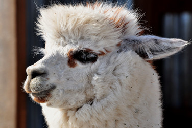 Similar image 21491652