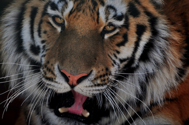 Similar image 21492319