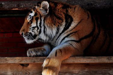 Similar image 21492320