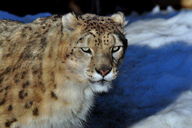 Similar image 21492321