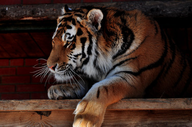 Similar image 21492322