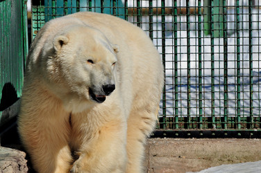 Similar image 21492323