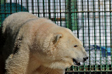 Similar image 21492324