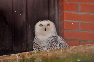 Similar image 21492326