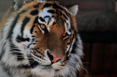 Similar image 21492327