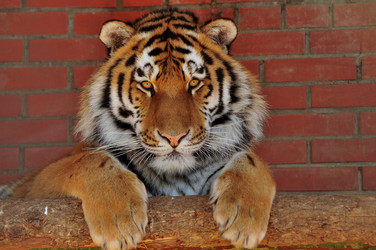 Similar image 21492328