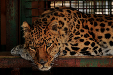 Similar image 21492329