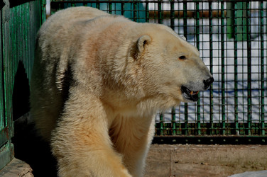 Similar image 21492330