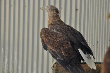 Similar image 21492332