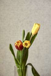 Similar image 21496420