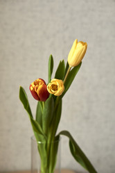 Similar image 21496421