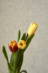 Similar image 21496422