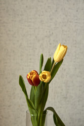 Similar image 21496423