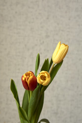 Similar image 21496424