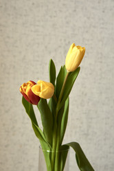 Similar image 21496425