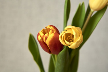 Similar image 21496426