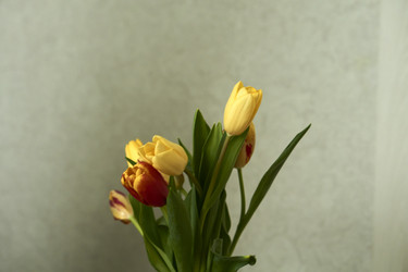 Similar image 21496427