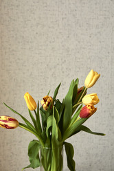 Similar image 21496428