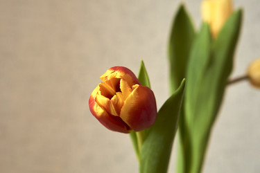 Similar image 21496430