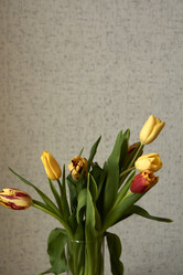 Similar image 21496431