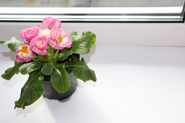 Similar image 21497956