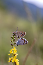 Similar image 21495564