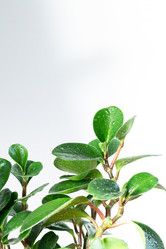 Similar image 21494551