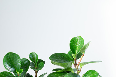 Similar image 21494553