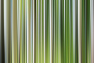 Similar image 21494556