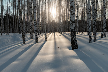 Similar image 21494558