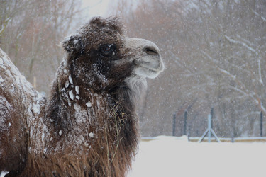 Similar image 21489607