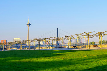 Similar image 21482742