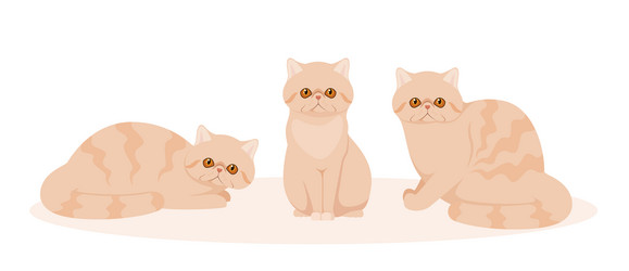 Similar image 21501995