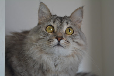 Similar image 21498680