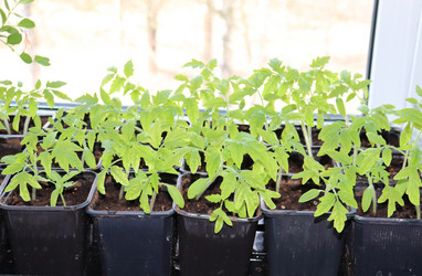 Similar image 21498154