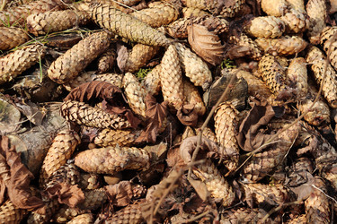 Similar image 21498157