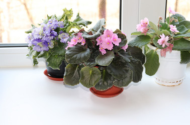 Similar image 21498160