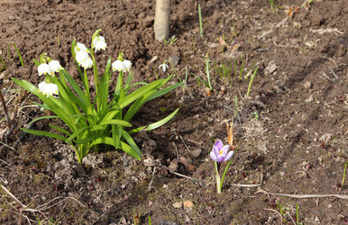 Similar image 21496883