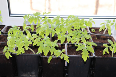 Similar image 21496884