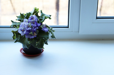 Similar image 21496894