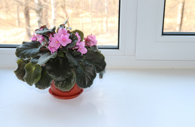 Similar image 21496895