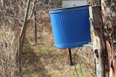 Similar image 21497038