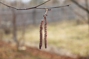 Similar image 21497042